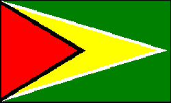 圭亚那国旗